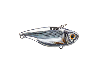 Live Target Sonic Shad