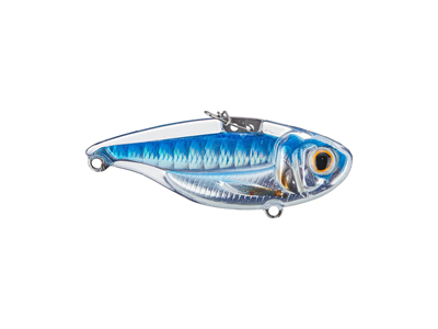 Live Target Sonic Shad