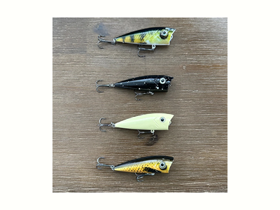 ReCast Baits Collections