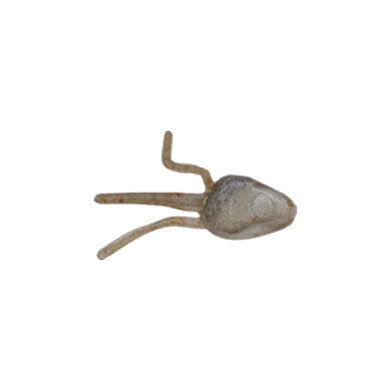 Berkley Gulp! Ice Minnow Head