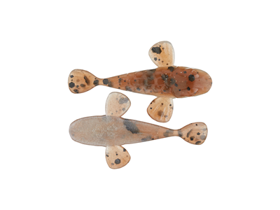 Angler's Choice Ridgeback Goby