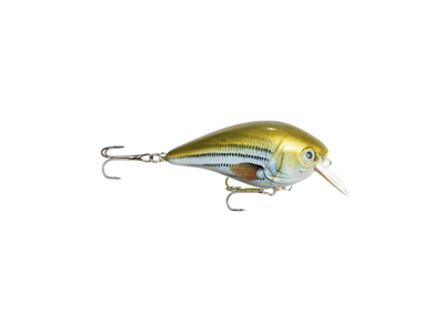 Recast BioSeries Squarebill Crankbait