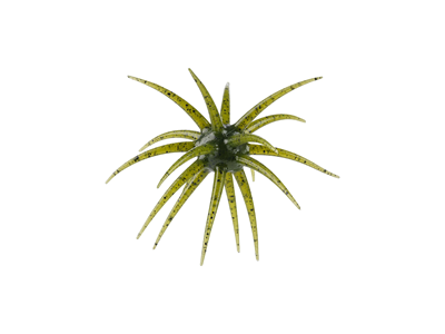 Berkley PowerBait® MaxScent 'Moeba
