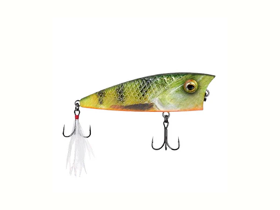Recast Top Water Popper