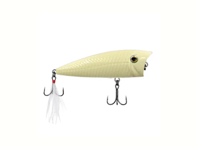 Recast Top Water Popper