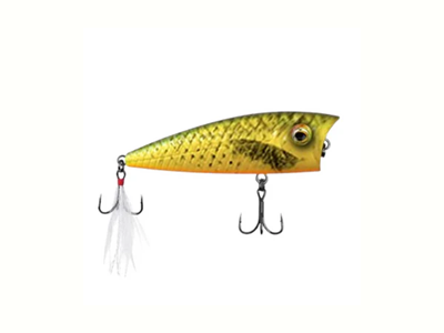 Recast Top Water Popper