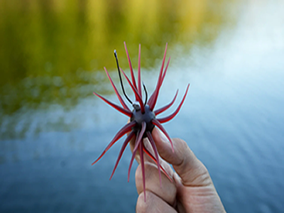 Core Tackle Dice Rig