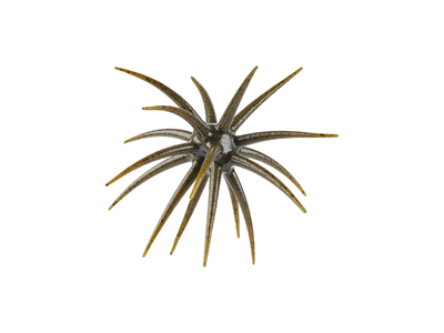 Berkley PowerBait® MaxScent 'Moeba