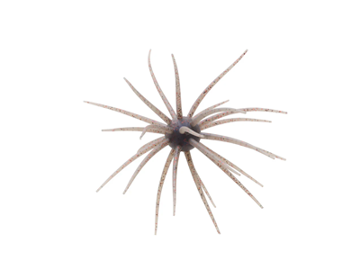 Big Rideau Tackle Ghost Fall™ Ghost Mine