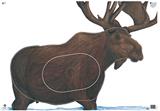 NFAA Group Animal Target Group 1
