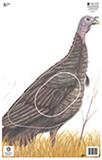 NFAA Group Animal Target Group 3