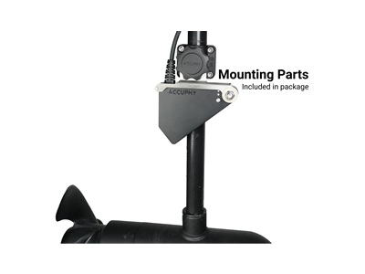 Accuphy PingLive Mini