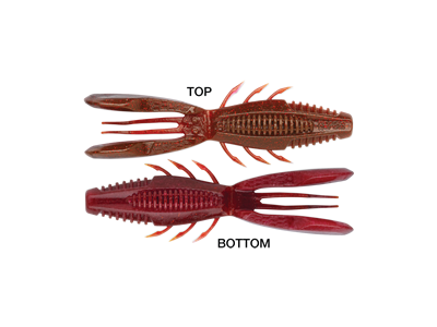 Rapala Crush City Bronco Bug