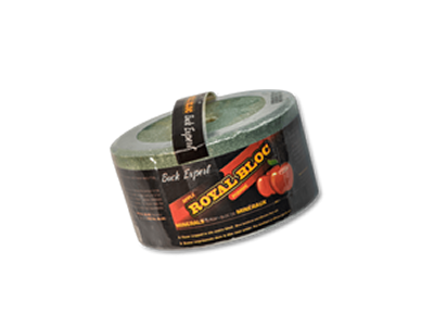 Buck Expert Royal Bloc