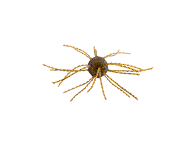 Strike King Tumbleweed Floatin'