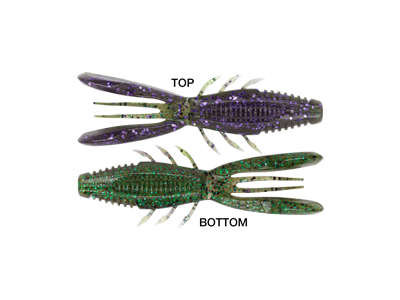 Rapala Crush City Bronco Bug