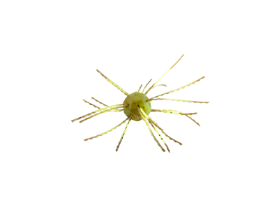 Strike King Tumbleweed Floatin'