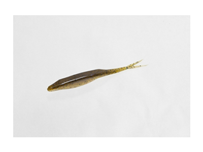 Zoom Fluke Jr.