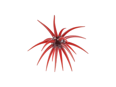 Berkley PowerBait® MaxScent 'Moeba
