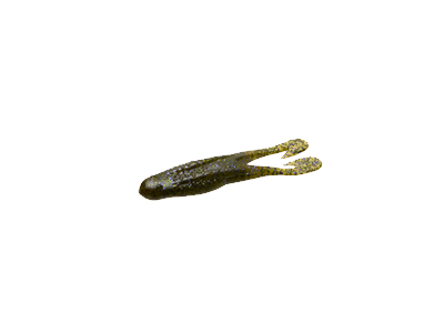 Zoom Horny Toad